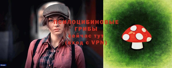 гашик Апатиты