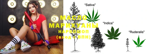 сатива Надым
