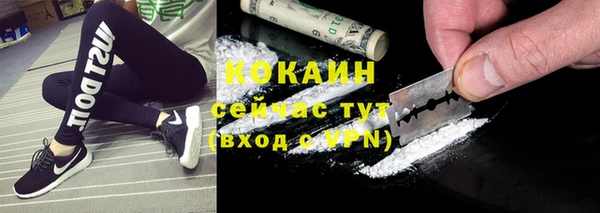 гашик Апатиты