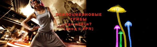 сатива Надым