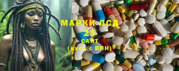 сатива Надым