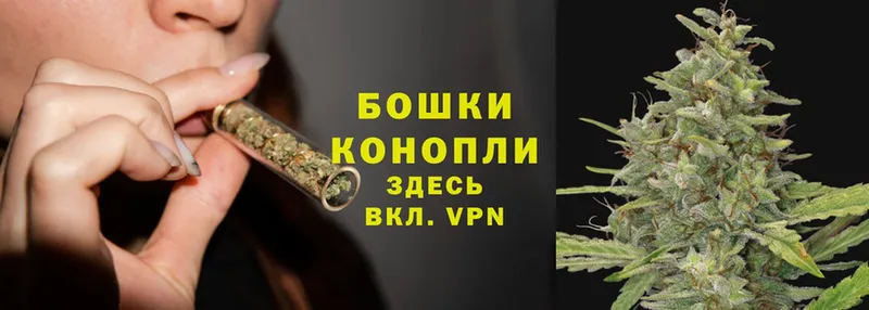 Бошки Шишки Ganja  Ковдор 