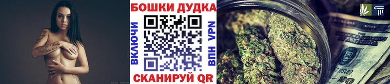 Канабис сатива  Ковдор 